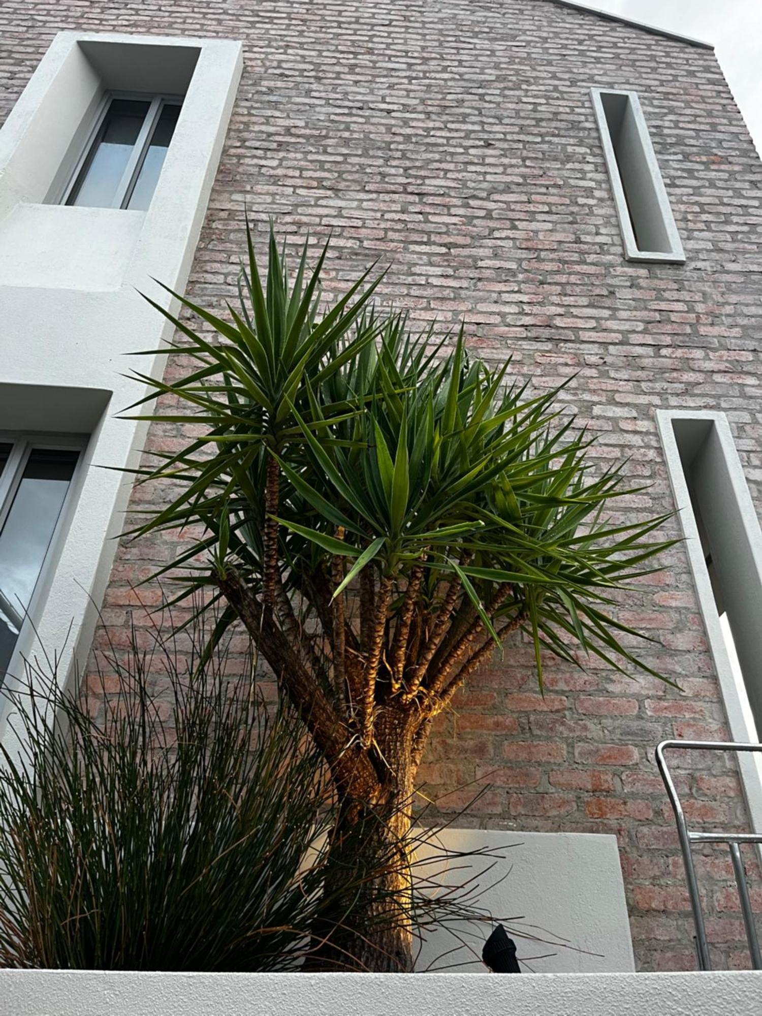 The Windhoek Luxury Suites Exterior photo