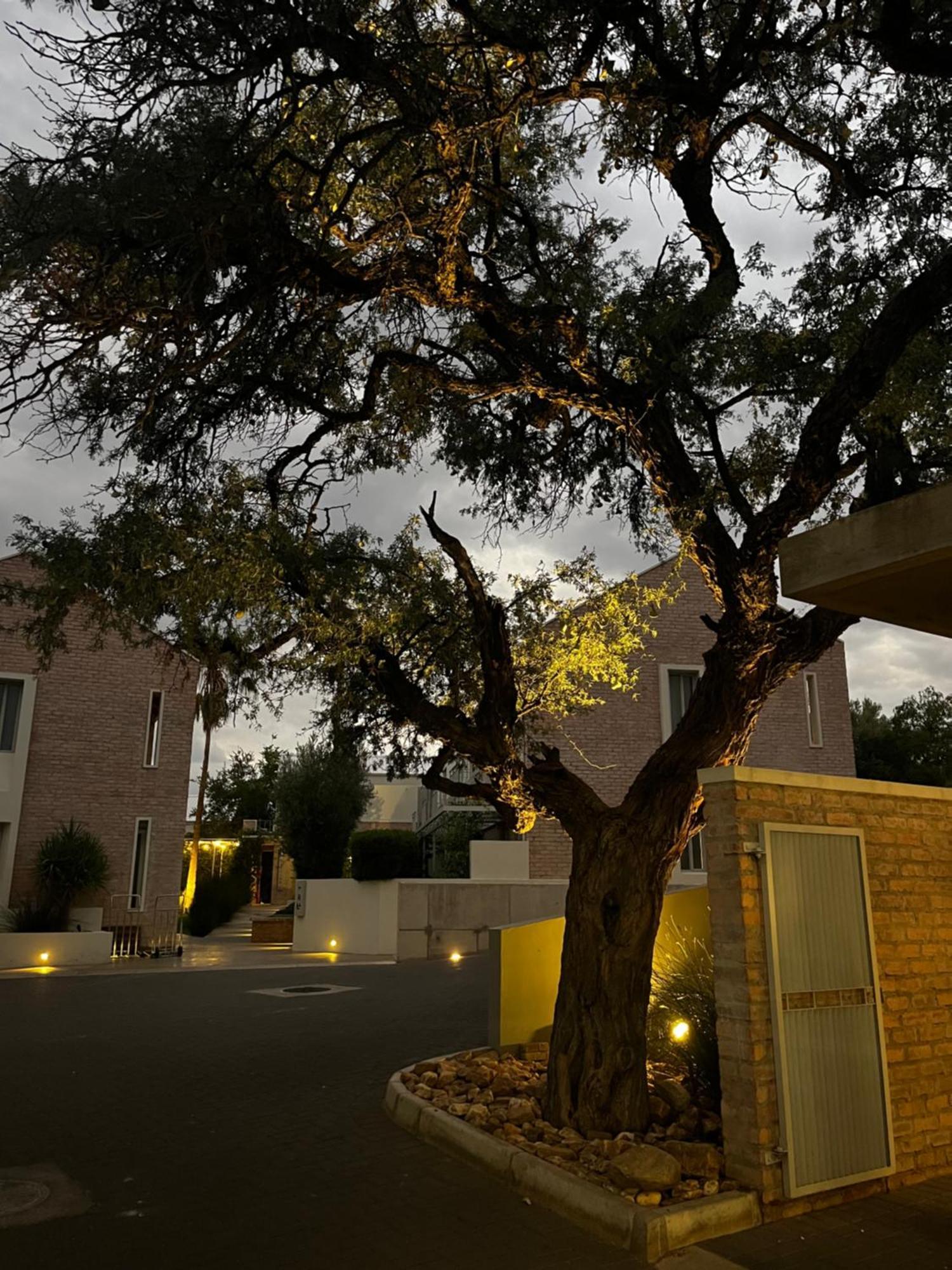 The Windhoek Luxury Suites Exterior photo
